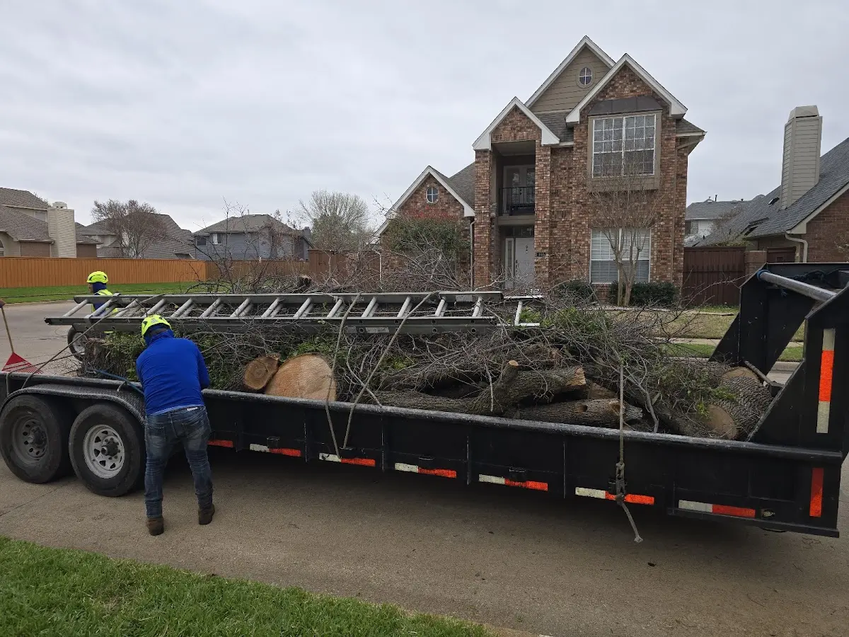 Expert Tree Fertilization with proper safety equipment in Saint Mary